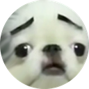 updog Discord emoji