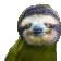 RareSloth