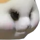 fatcat6 fatcat6