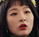 seulgismile