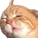 spacedoutbtw