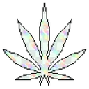 weed