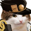 KujoKataroRev