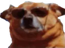 verynice