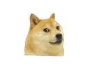 doge