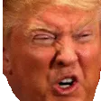TrumpTriggered