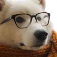 koobySmart