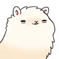 alpacayawn