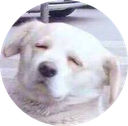 yess Discord emoji