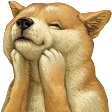 igorFeel