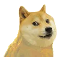 doge