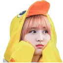 aMomoDuckIntensifies