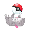 cat1