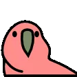 parrotdealwithit parrotdealwithit