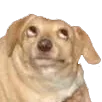 OhYou