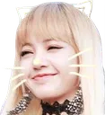 LisaCat