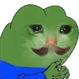 feelsevilmeow