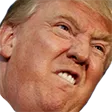 GWelbTrumpRage