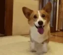 happy