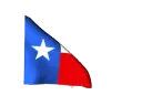 txflag