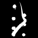 spin_black