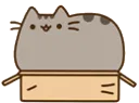 PushBox