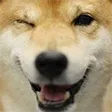 GWllentShibeWink