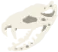 snecko_skull