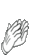 clap