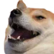 DoggoKek