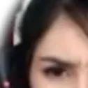 a1