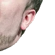 LUL4