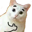 nekomuHI nekomuHI