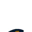 AuntMallCop