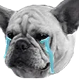 kiichiMiyukisad