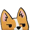 DisapprovingCorgi