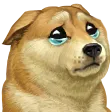 igorSad