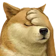 igorFp