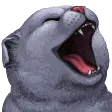 igorLol igorLol