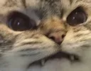 Angery