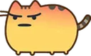 angeryCat angeryCat