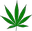 dank dank