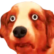 SquanderDog