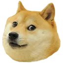 doge doge