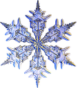 frost