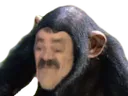 risisinge