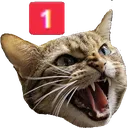 noPing
