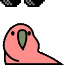 deal_with_it_parrot