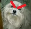 angery angery