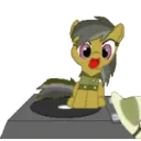 daringspin